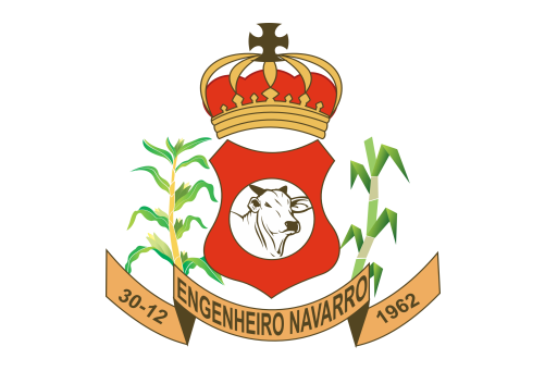 Brasão oficial de Engenheiro Navarro